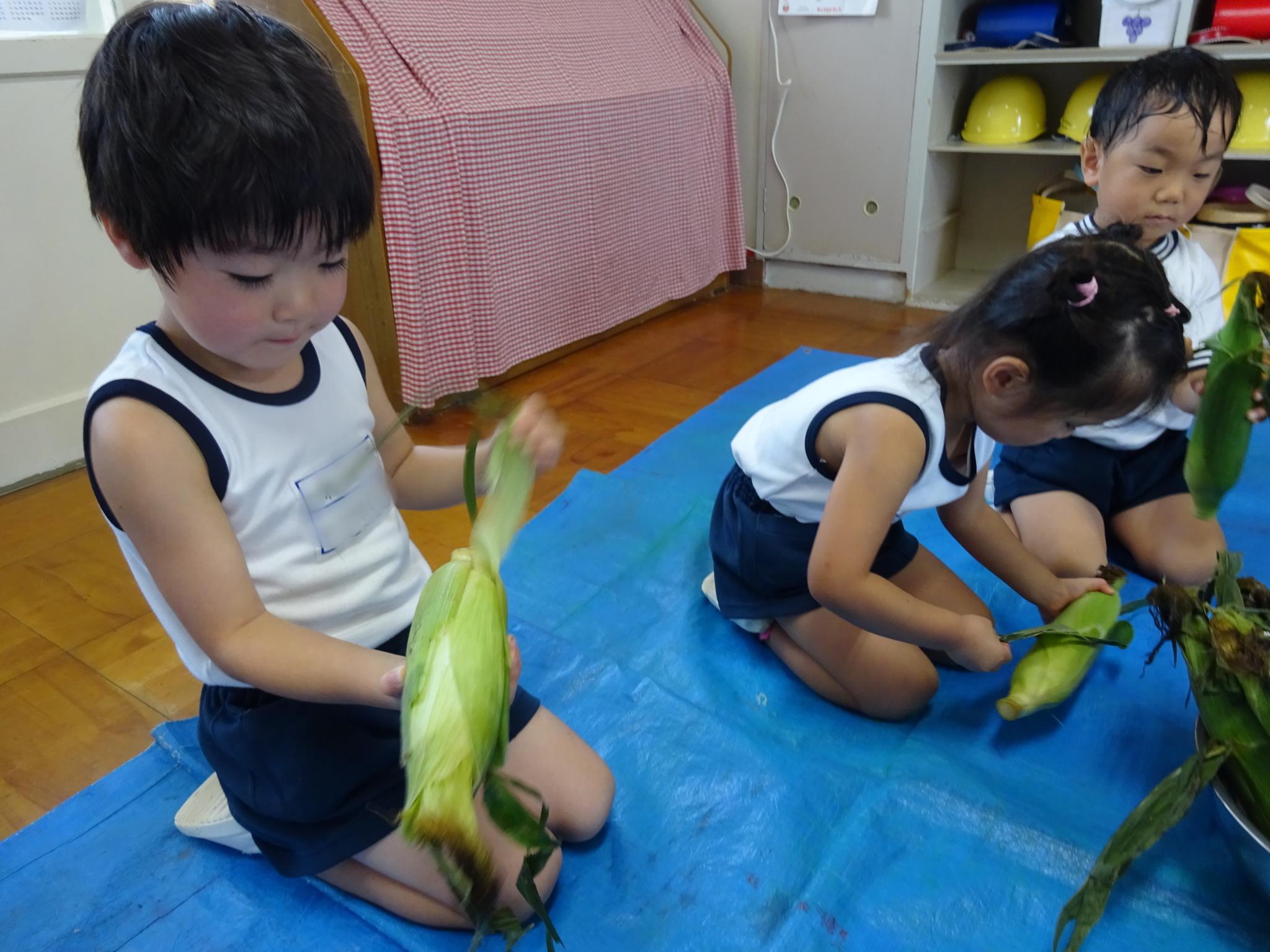 トウモロコシの皮むき体験